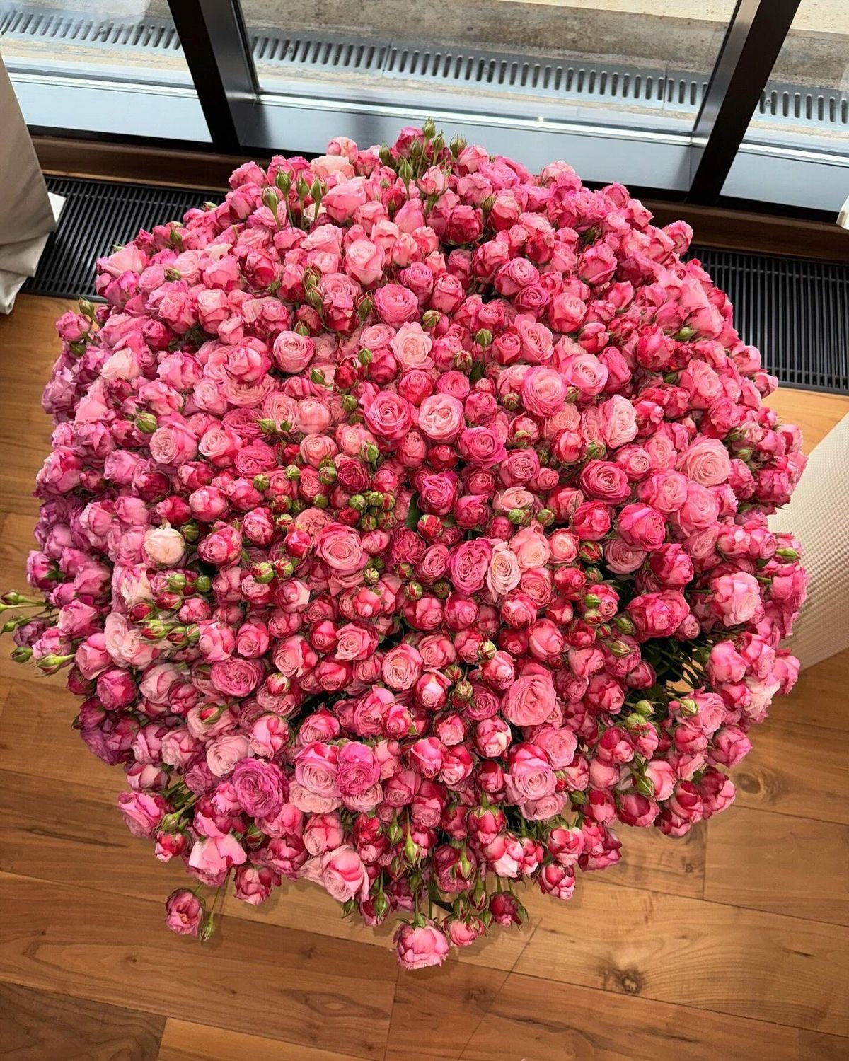 Crimson Spray Roses