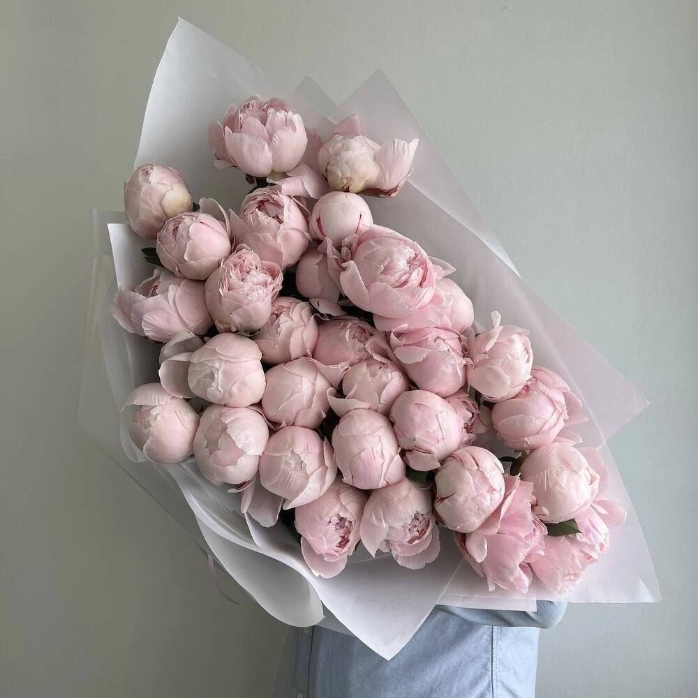 Pink Peonies