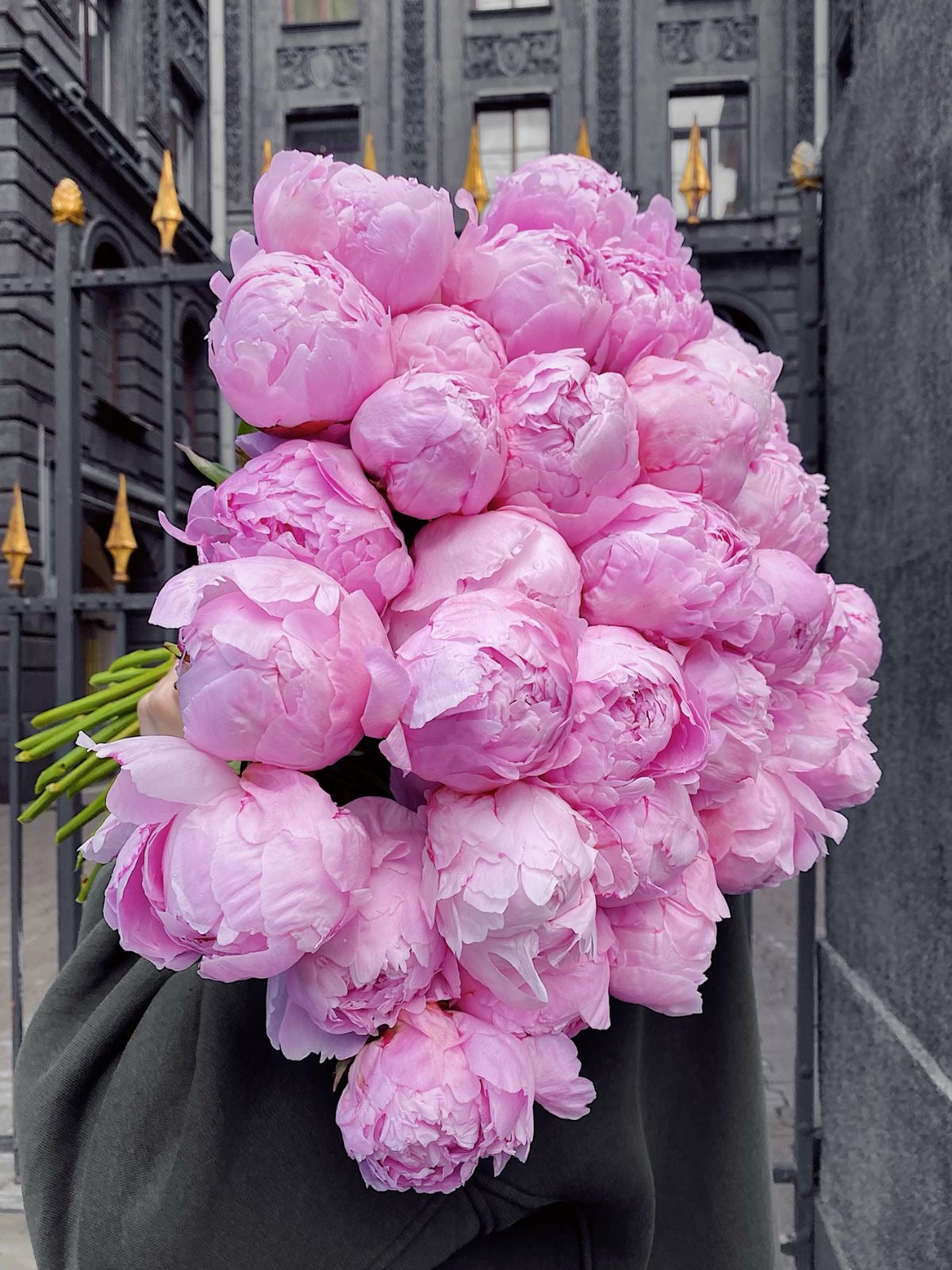 Pink Peonies