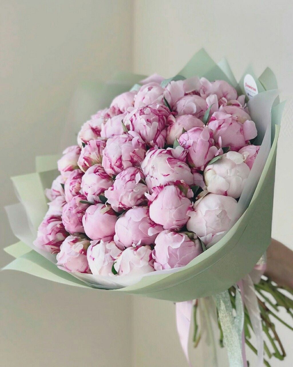 Pink Peonies
