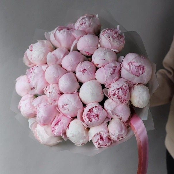 Pink Peonies