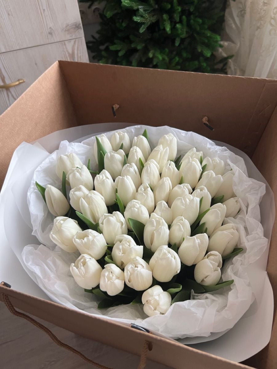 White Tulips Premium