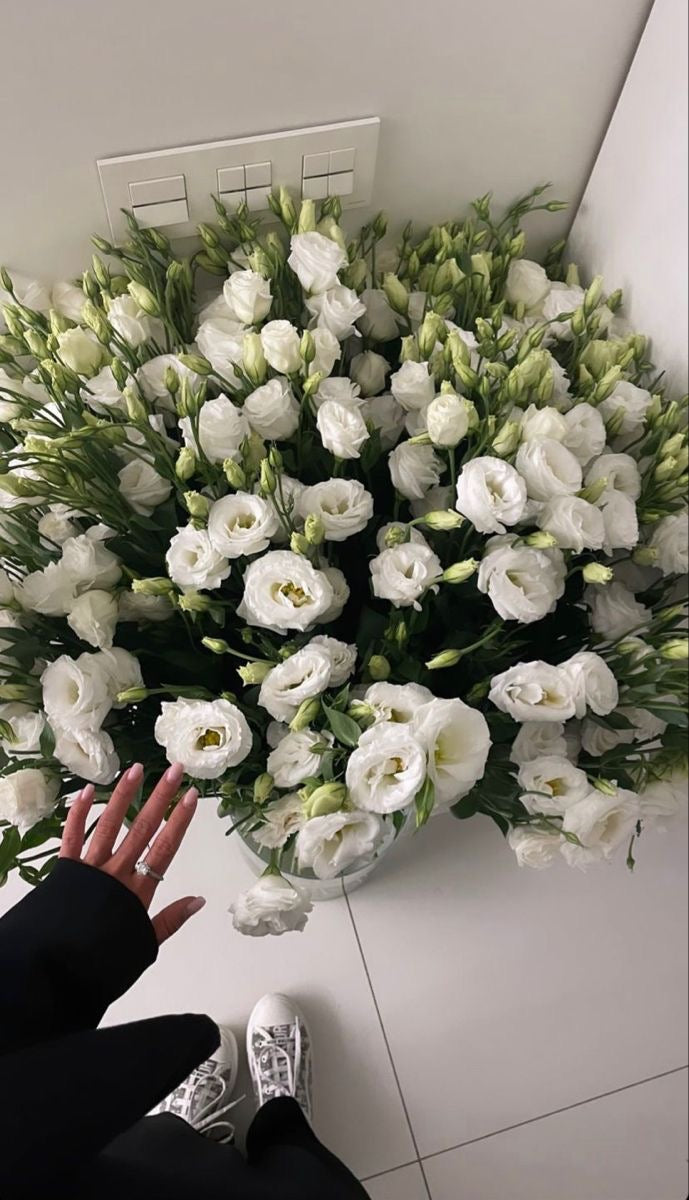 White Eustoma