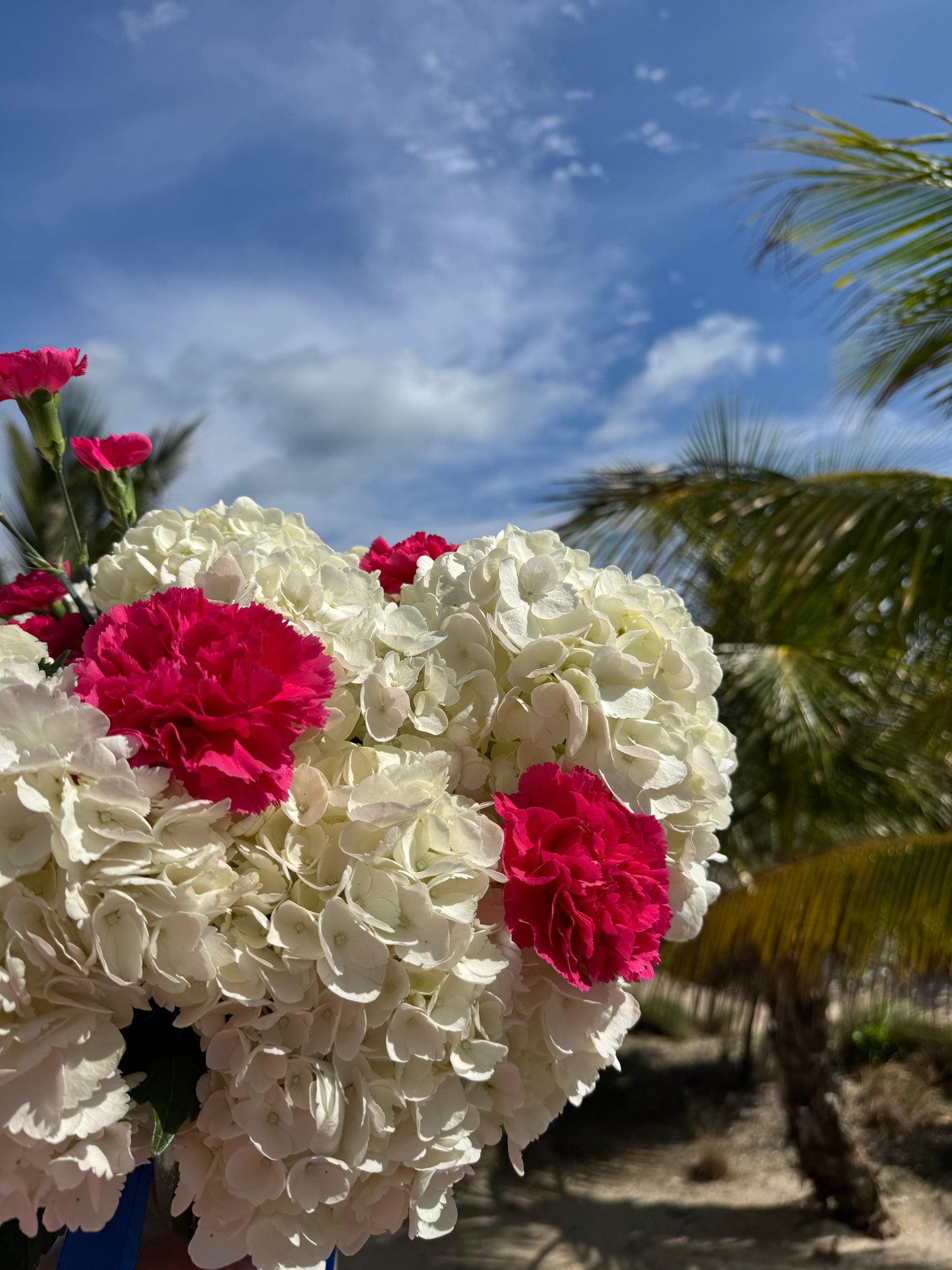 Hydrangeas and Dianthus Bouquet