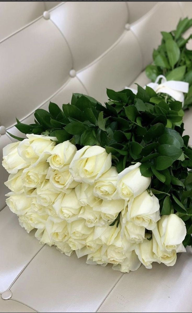 White Premium Roses