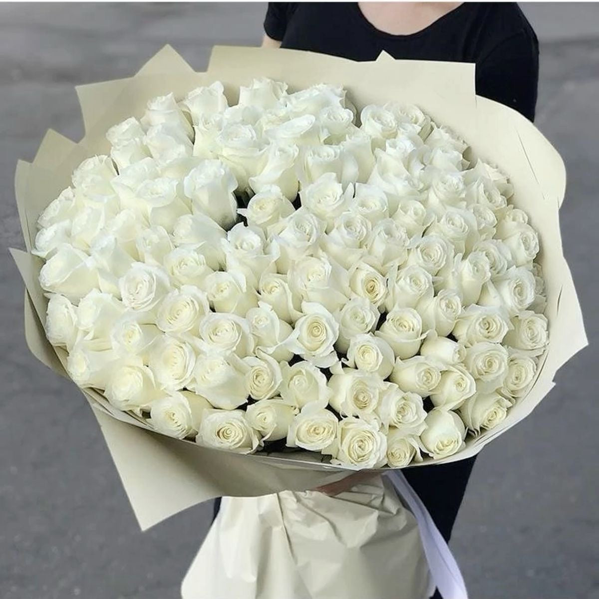 White Premium Roses