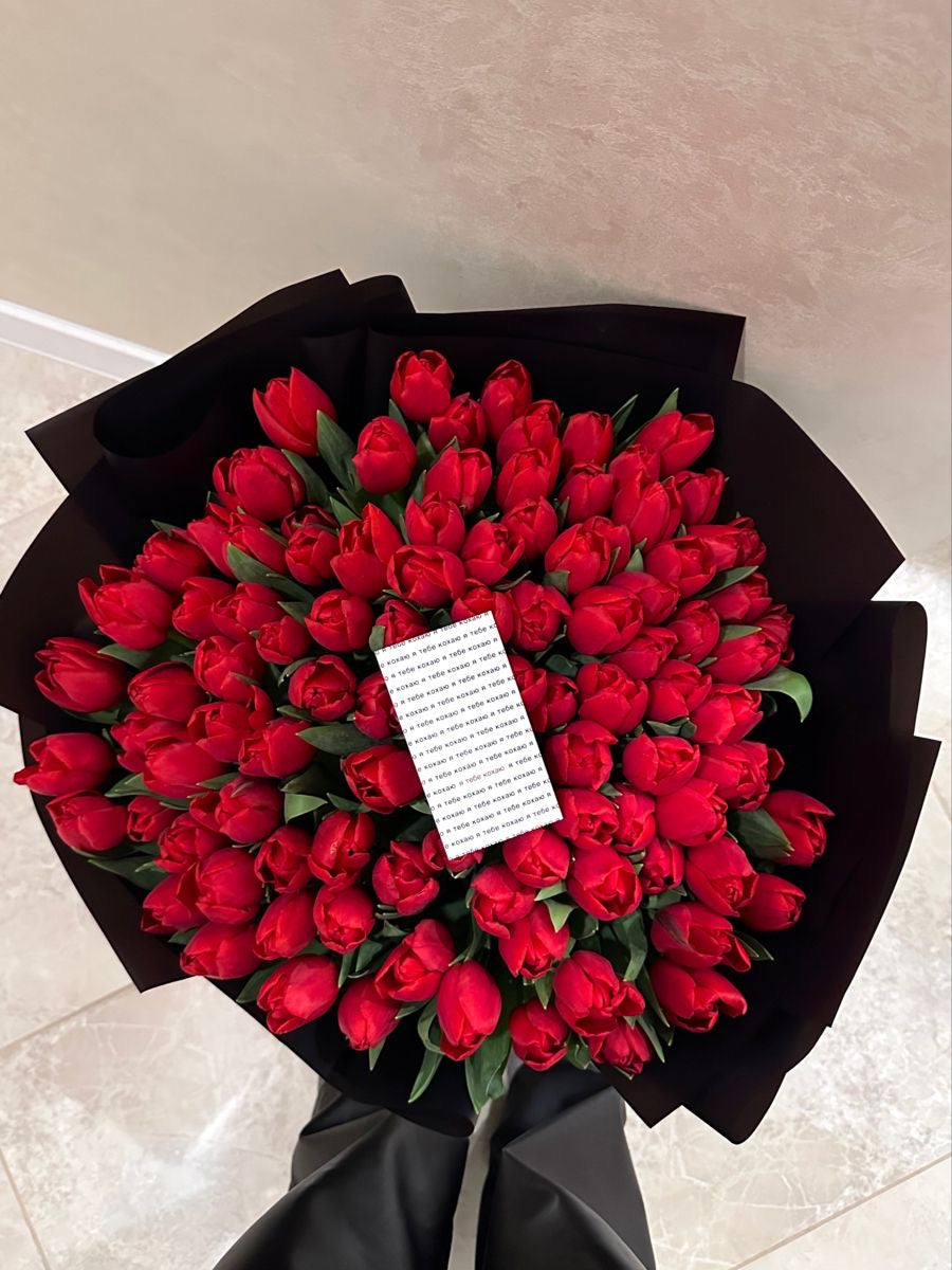 Red Tulips Premium