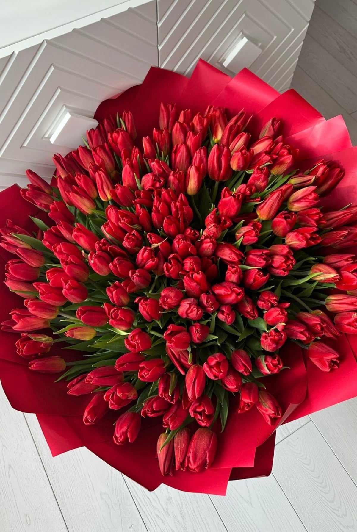 Red Tulips Premium