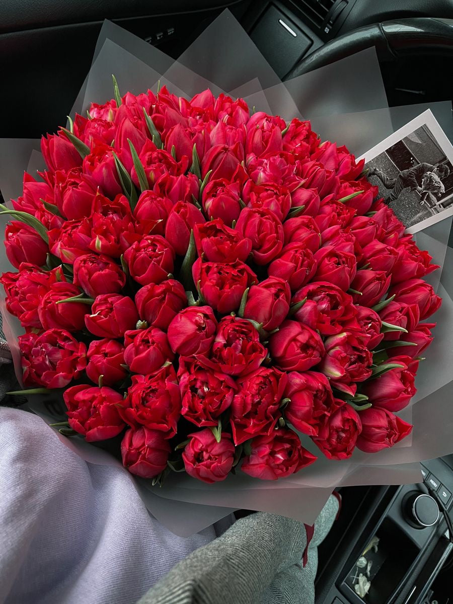 Red Tulips Premium