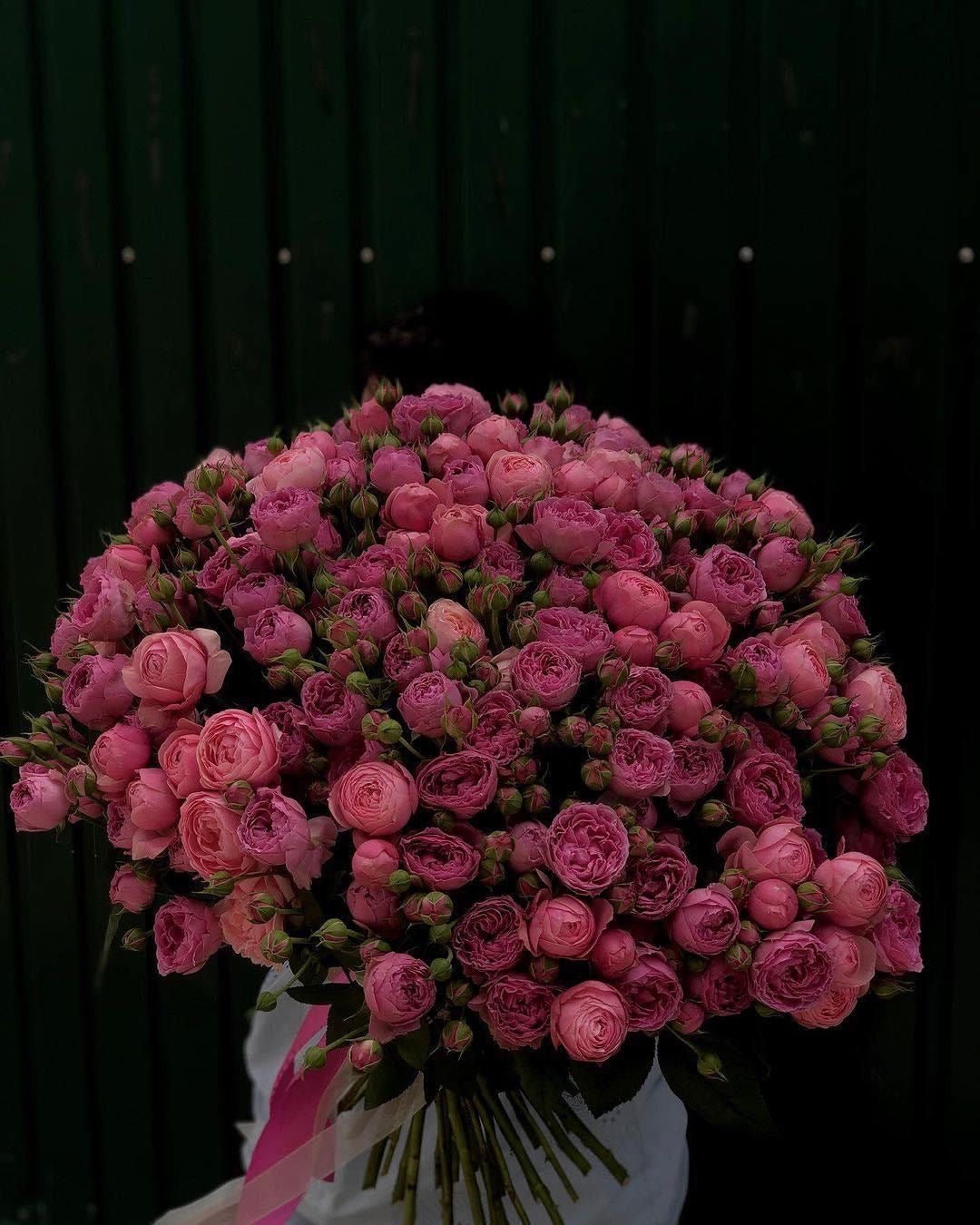 Crimson Spray Roses