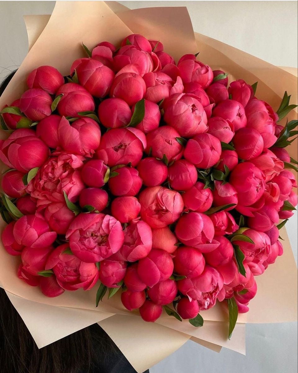 Coral Premium Peonies