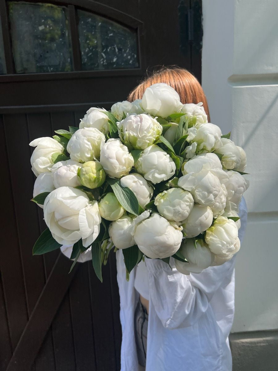 White Premium Peonies