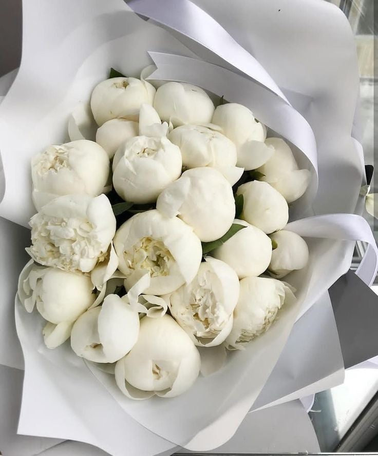 White Premium Peonies