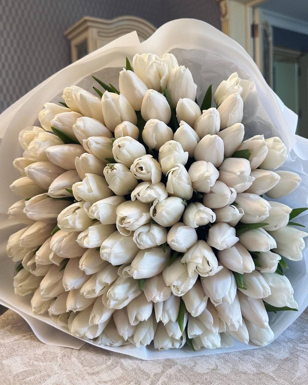 White Tulips Premium