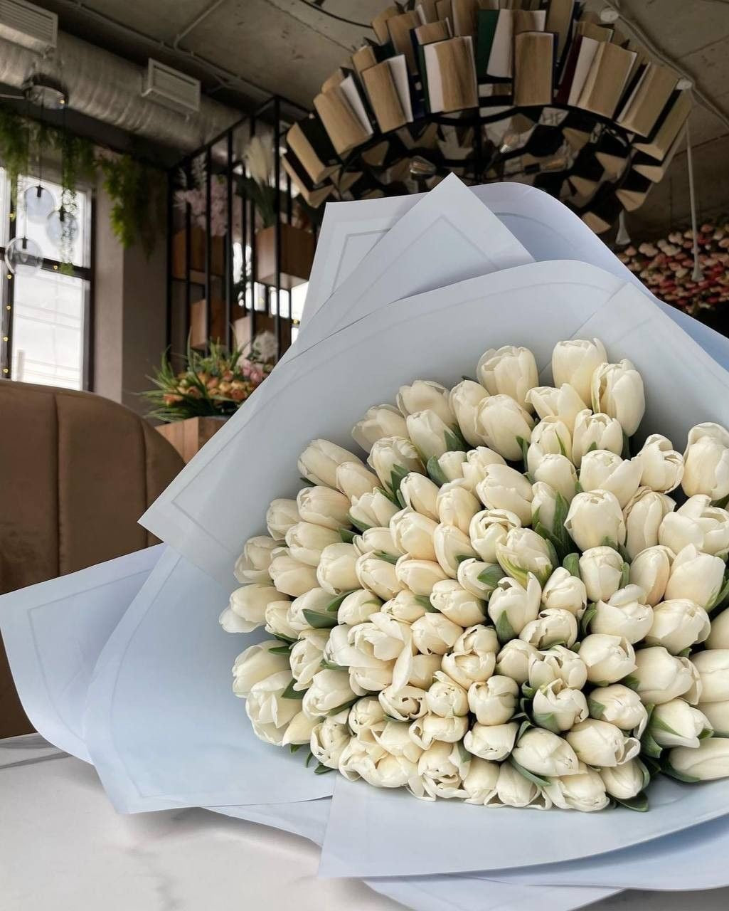 White Tulips Premium