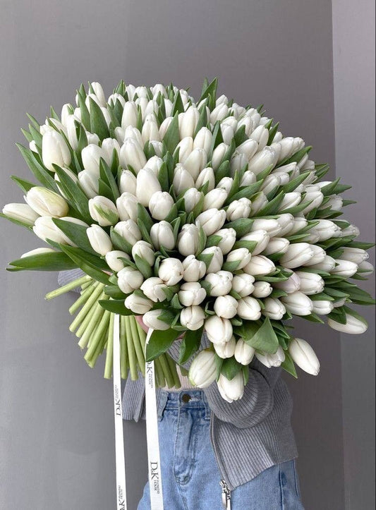 White Tulips Premium