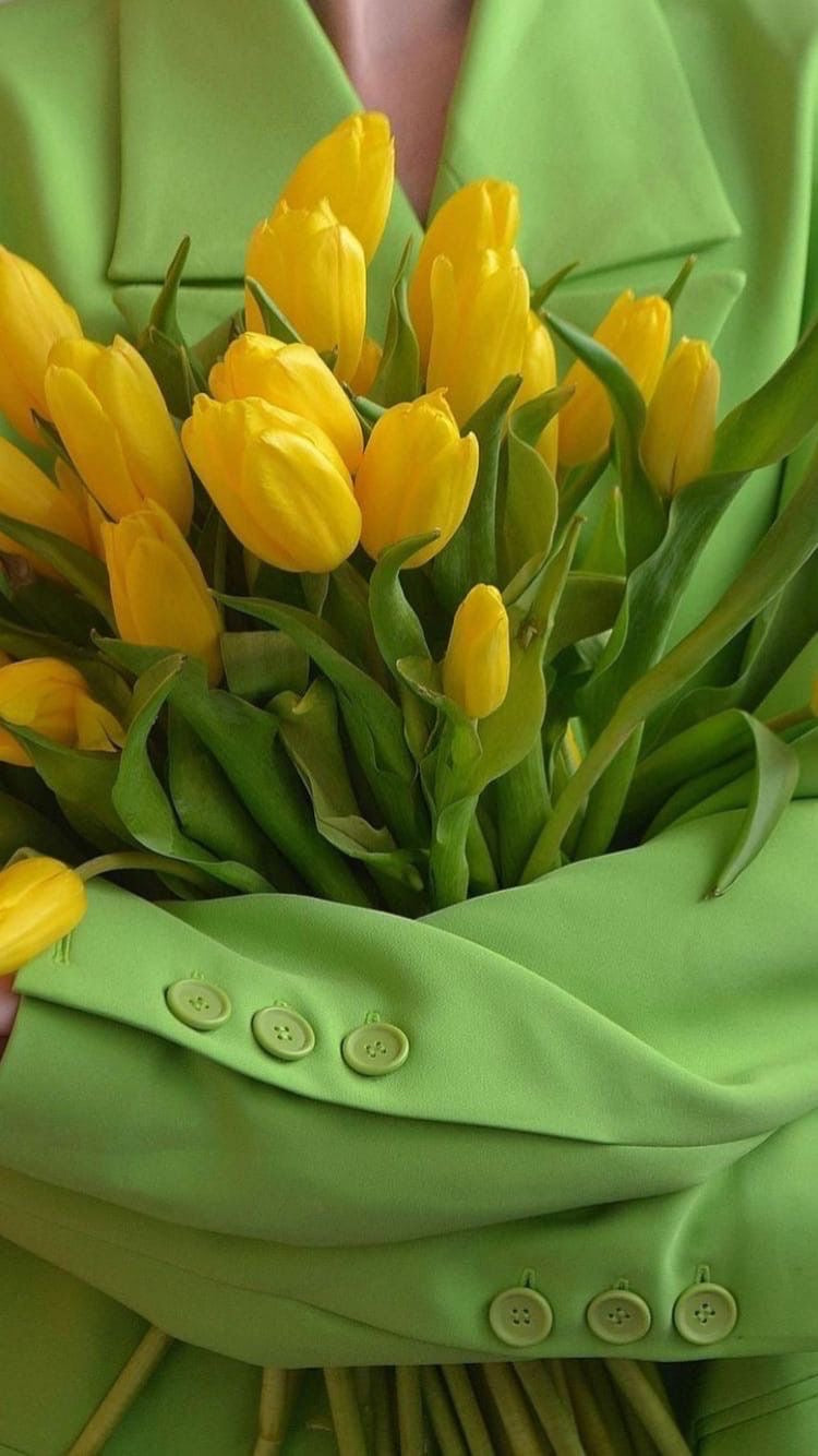 Yellow Tulips Premium