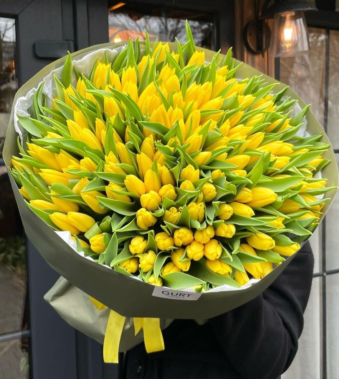 Yellow Tulips Premium