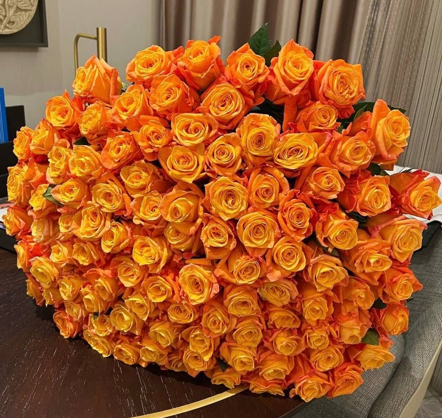 Orange Premium Roses