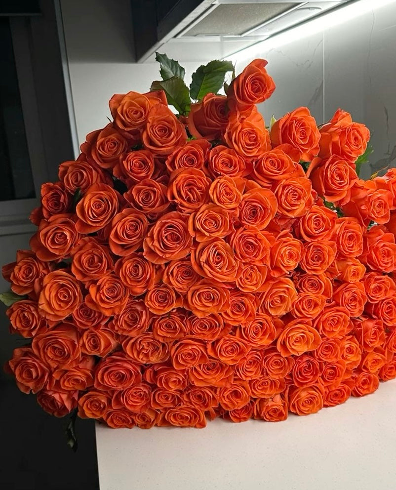 Orange Premium Roses