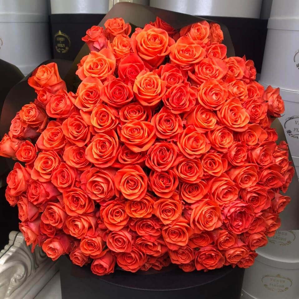 Orange Premium Roses