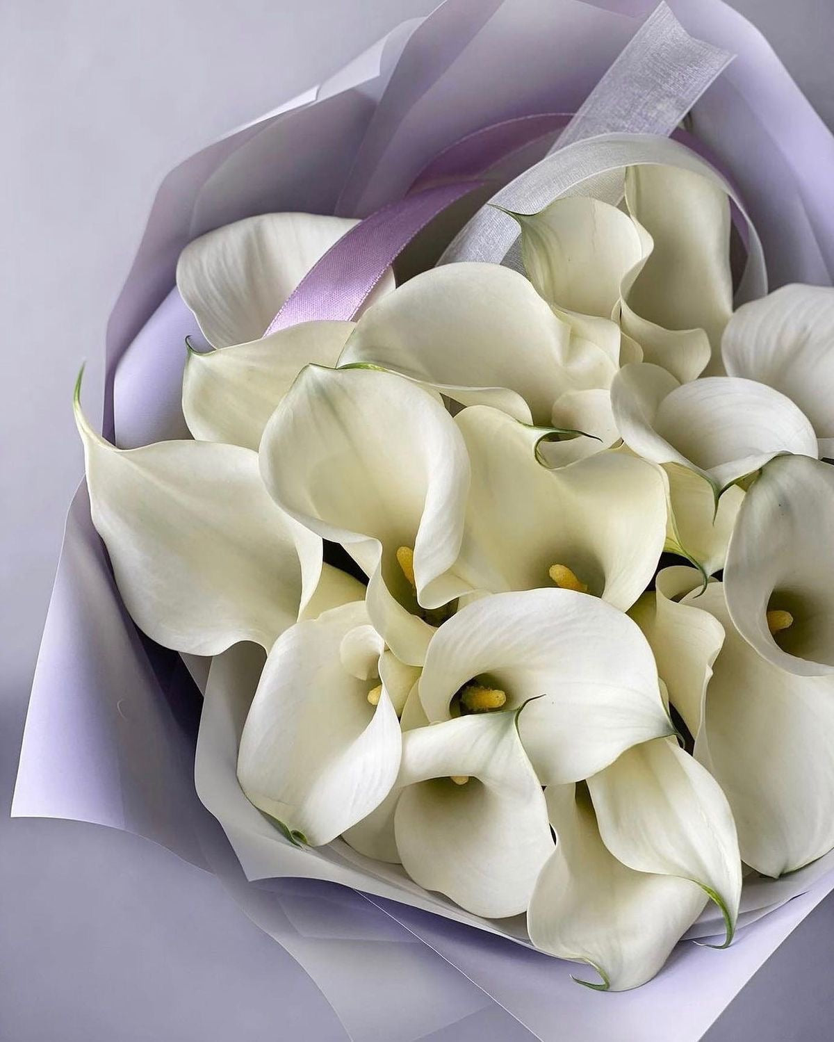 White Calla lilies